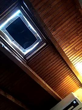 Private CurlyElisa on StripChat