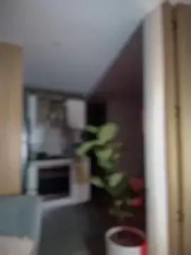 Freechat SaraFerreira on StripChat