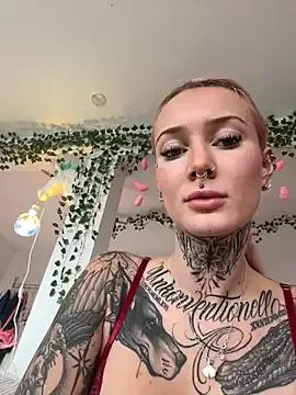 StripChat Stella-Kink is Freechat Stella-Kink — Squirt ticketshow